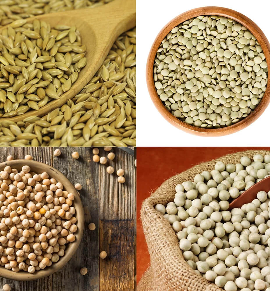 Pulses and Specialty Crops